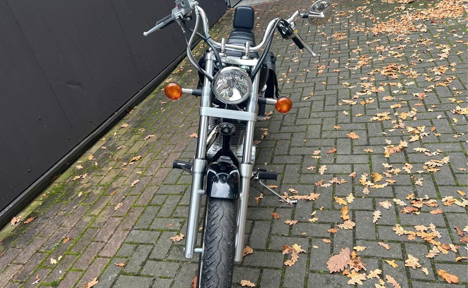 Angebot Suzuki LS 650 Bild 11: Angebot Suzuki LS 650