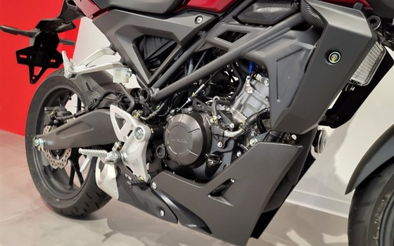 Neufahrzeug Honda CB125R - Bild 5