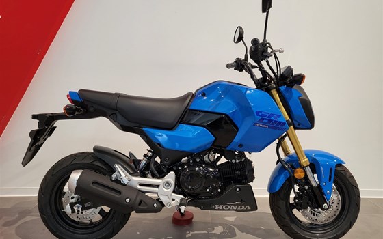 Neufahrzeug Honda MSX125 Grom - Bild 1