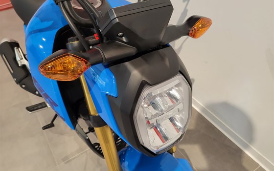 Neufahrzeug Honda MSX125 Grom - Bild 10