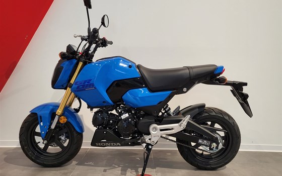 Neufahrzeug Honda MSX125 Grom - Bild 11