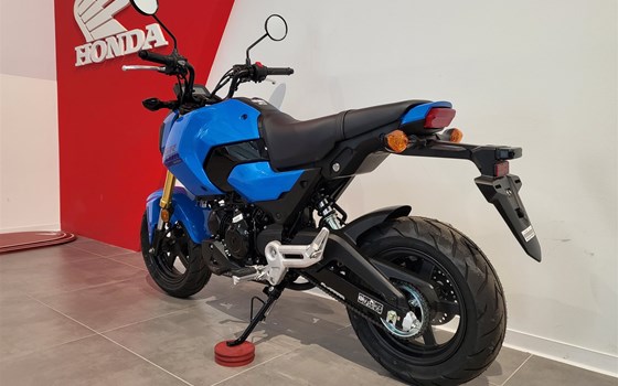 Neufahrzeug Honda MSX125 Grom - Bild 12