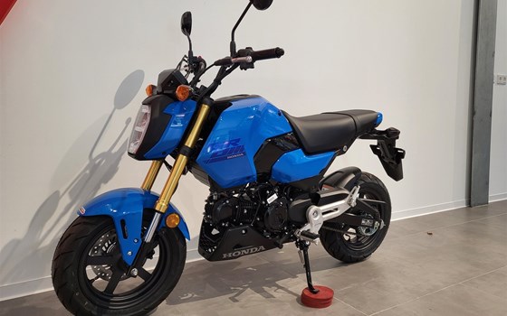 Neufahrzeug Honda MSX125 Grom - Bild 13