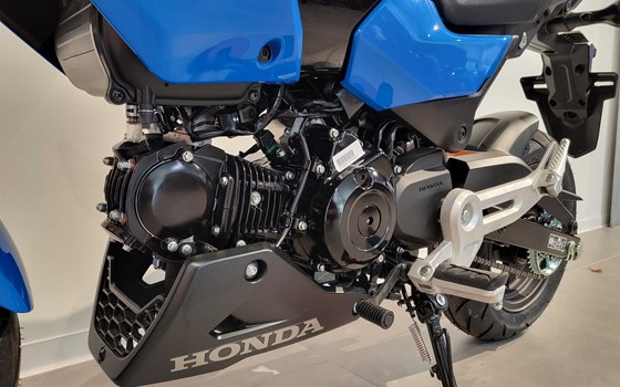 Neufahrzeug Honda MSX125 Grom - Bild 15