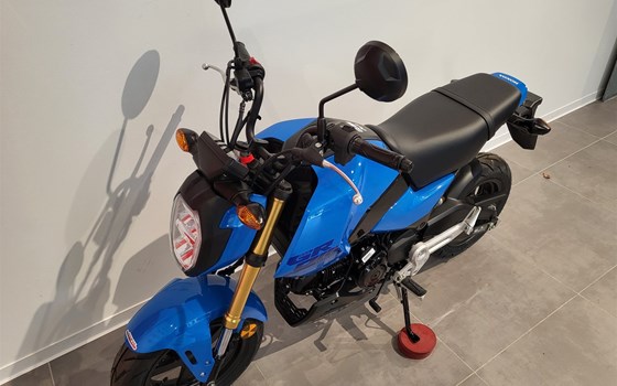 Neufahrzeug Honda MSX125 Grom - Bild 17