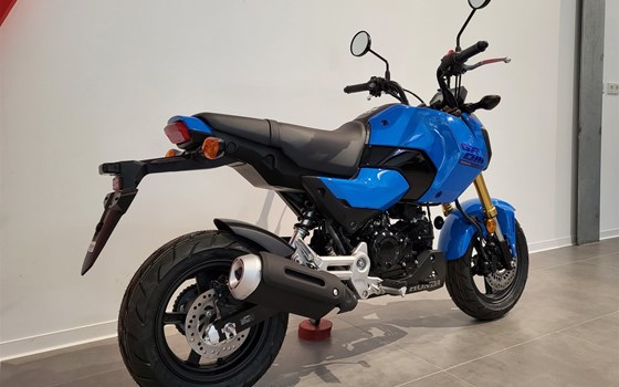 Neufahrzeug Honda MSX125 Grom - Bild 2