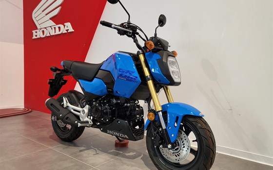 Neufahrzeug Honda MSX125 Grom - Bild 3