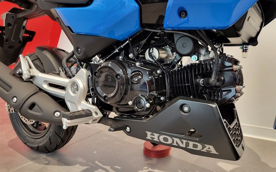 Neufahrzeug Honda MSX125 Grom - Bild 7