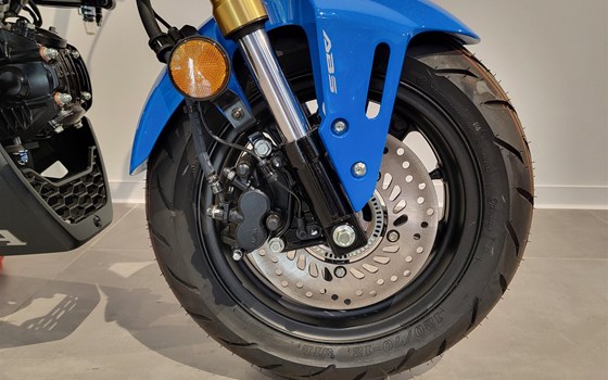Neufahrzeug Honda MSX125 Grom - Bild 9