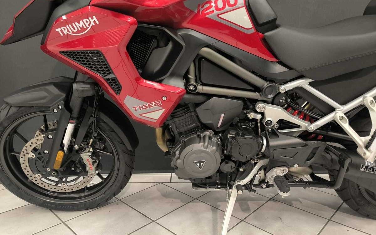 Angebot Triumph Tiger 1200 GT PRO