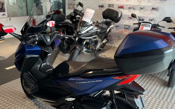 Gebrauchtmotorrad Honda Forza 350 - Bild 3