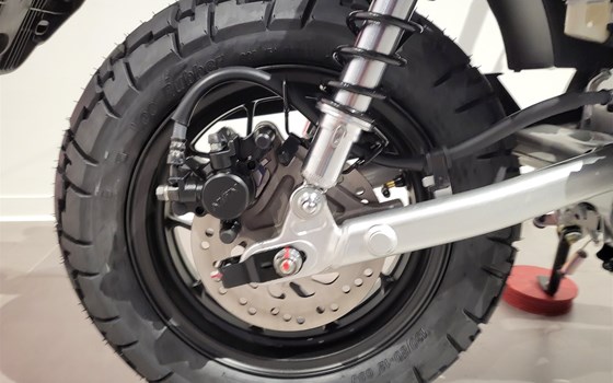 Neufahrzeug Honda Monkey 125 - Bild 6