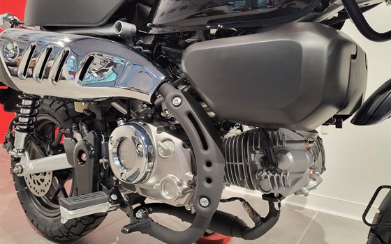 Neufahrzeug Honda Monkey 125 - Bild 8