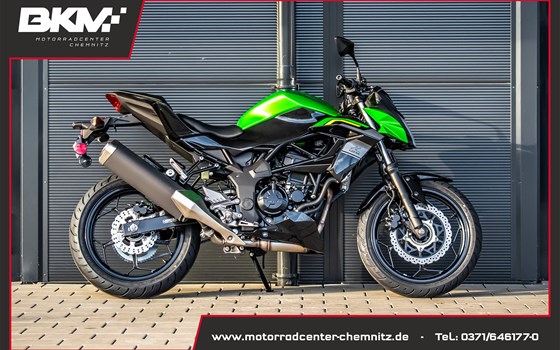 Neufahrzeug Kawasaki Z125 - Bild 1