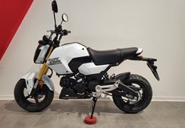 Neumotorrad Honda MSX 125