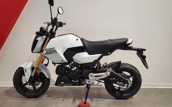 Neufahrzeug Honda MSX 125 - Bild 1