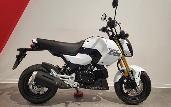 Neufahrzeug Honda MSX 125 - Bild 10
