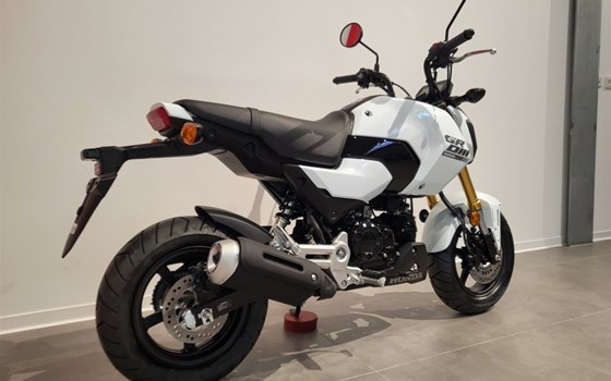 Neufahrzeug Honda MSX 125 - Bild 11