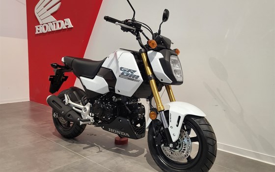 Neufahrzeug Honda MSX 125 - Bild 12