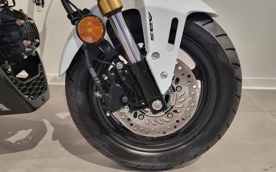 Neufahrzeug Honda MSX 125 - Bild 13