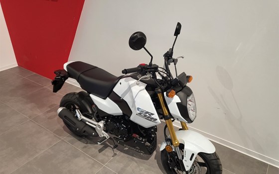 Neufahrzeug Honda MSX 125 - Bild 15