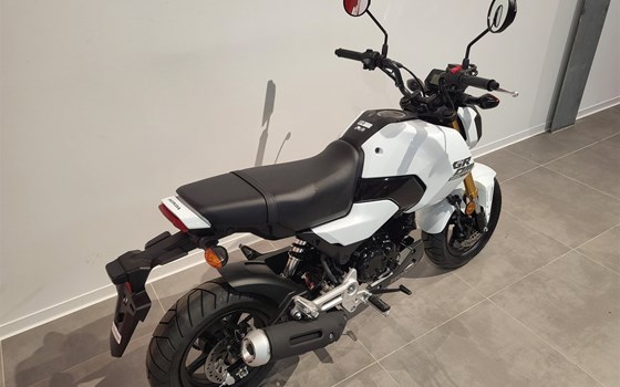 Neufahrzeug Honda MSX 125 - Bild 16