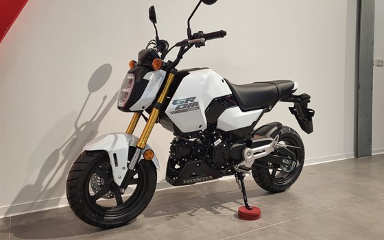 Neufahrzeug Honda MSX 125 - Bild 2