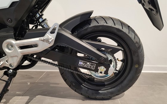 Neufahrzeug Honda MSX 125 - Bild 4