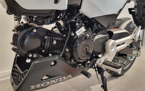 Neufahrzeug Honda MSX 125 - Bild 5