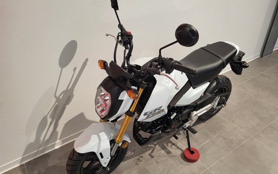 Neufahrzeug Honda MSX 125 - Bild 6