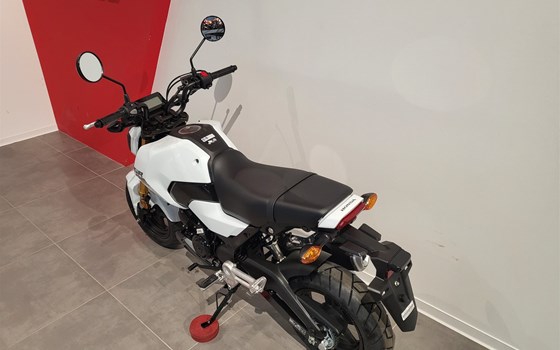 Neufahrzeug Honda MSX 125 - Bild 7