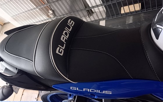 Gebrauchtmotorrad Suzuki SFV 650 Gladius - Bild 11