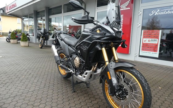 Neufahrzeug Voge DS800X Rally - Bild 2