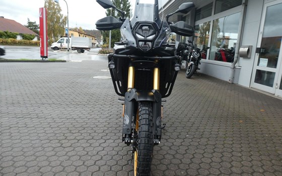 Neufahrzeug Voge DS800X Rally - Bild 3