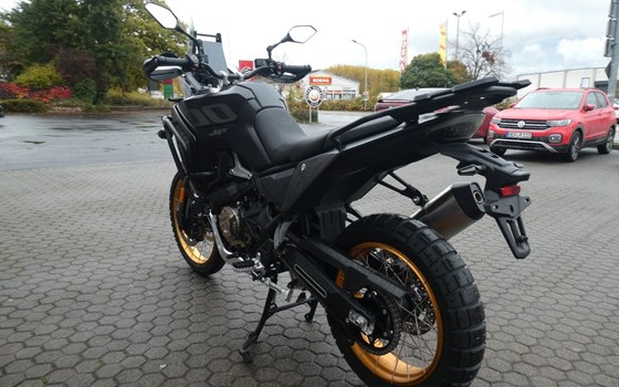 Neufahrzeug Voge DS800X Rally - Bild 6