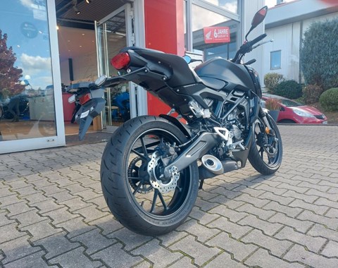 zum Vergrössern bitte anklicken!