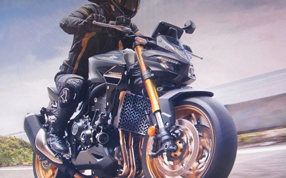 Gebrauchtmotorrad Honda CB1000 Hornet - Bild 7