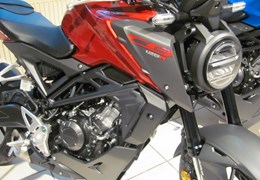 Neumotorrad Honda CB125R