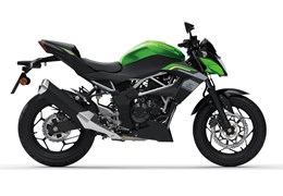 Neumotorrad Kawasaki Z125