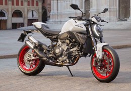 Neumotorrad Ducati Monster