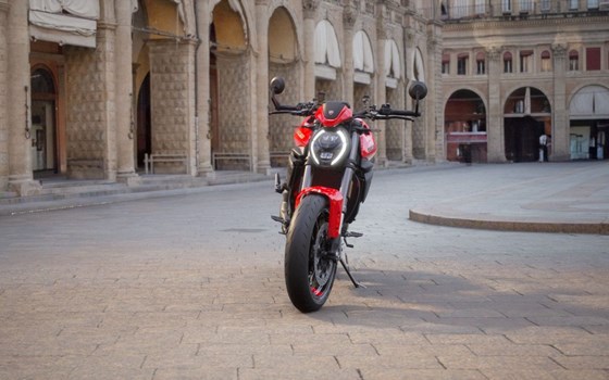 Neufahrzeug Ducati Monster + - Bild 4