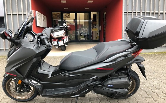 Neufahrzeug Honda Forza 125 - Bild 1