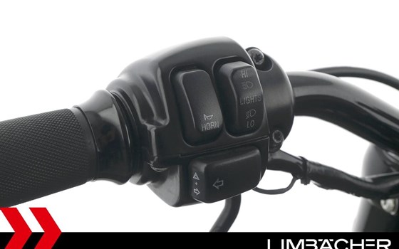 Gebrauchtmotorrad Harley-Davidson Sportster XL 1200X Forty-Eight - Bild 21