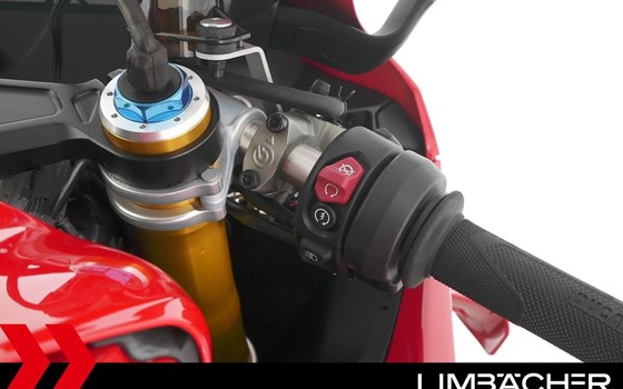 Gebrauchtmotorrad Ducati Panigale V4 S - Bild 20