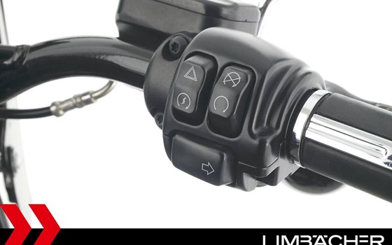 Gebrauchtmotorrad Harley-Davidson Softail Slim FLS - Bild 22