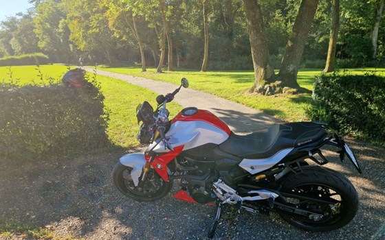 Gebrauchtmotorrad BMW F 900 R - Bild 2