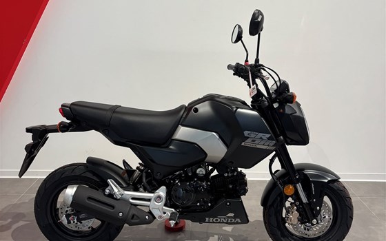 Neufahrzeug Honda MSX125 Grom - Bild 1