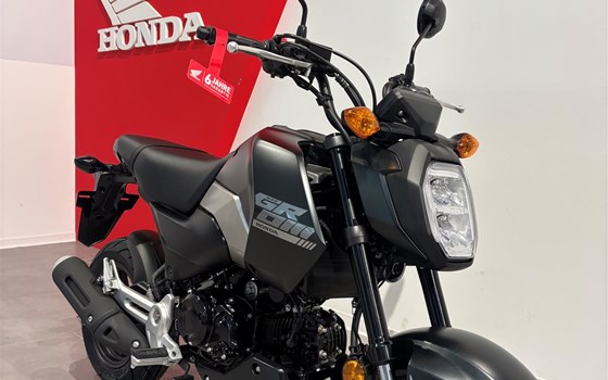 Neufahrzeug Honda MSX125 Grom - Bild 2