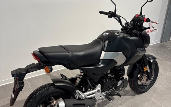 Neufahrzeug Honda MSX125 Grom - Bild 3