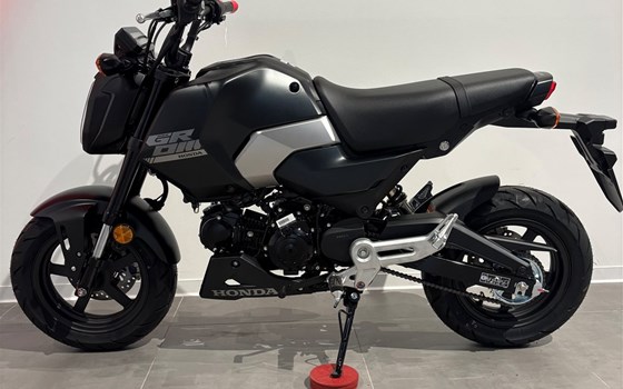 Neufahrzeug Honda MSX125 Grom - Bild 6
